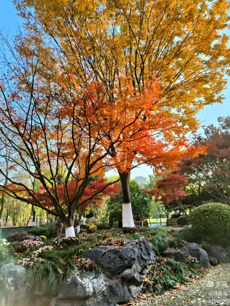 唐闸公园秋色美